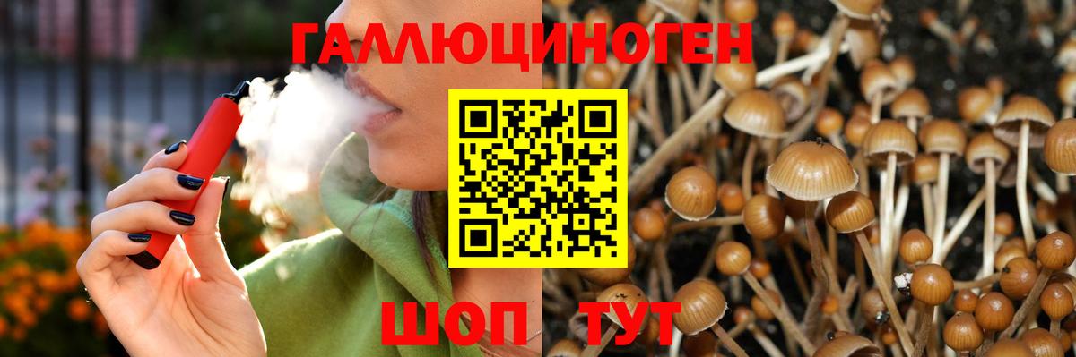 Галлюциногенные грибы GOLDEN TEACHER  Вход с VPN  Новоуральск 